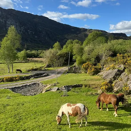 Little Heaven Shepherds Hut Luxe tent *