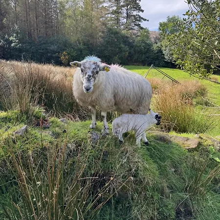 Little Heaven Shepherds Hut