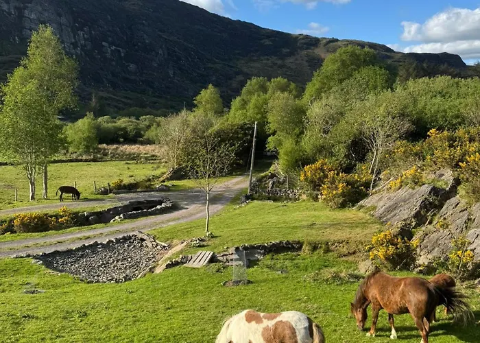 Little Heaven Shepherds Hut Glamping *
