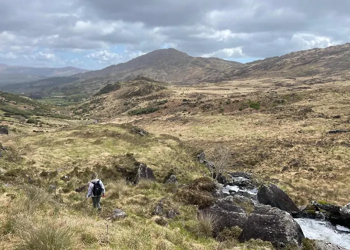 Little Heaven Shepherds Hut Glamping *