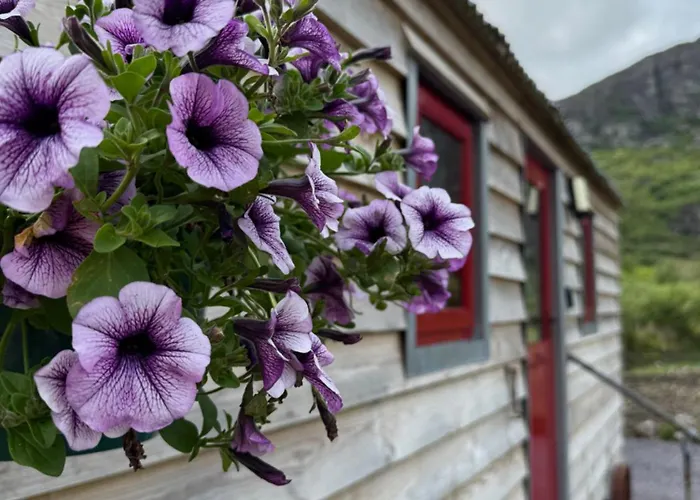 Little Heaven Shepherds Hut * Glengarriff